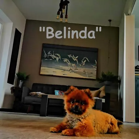 & Secondopiano *