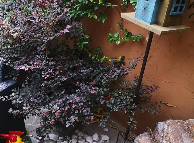 Gasthof & Secondopiano Cividale del Friuli